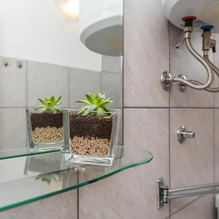 Marko Dominik * Ражанац