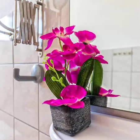 Апартаменты Marko Dominik *