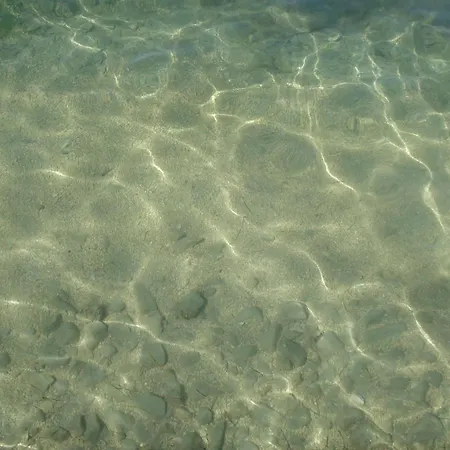 Marko Dominik * Ражанац