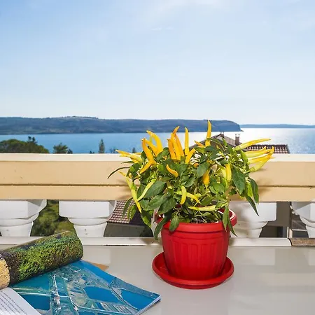 Apartman Marko Dominik