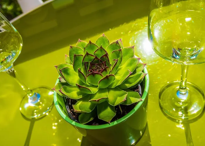 Διαμέρισμα Marko Dominik